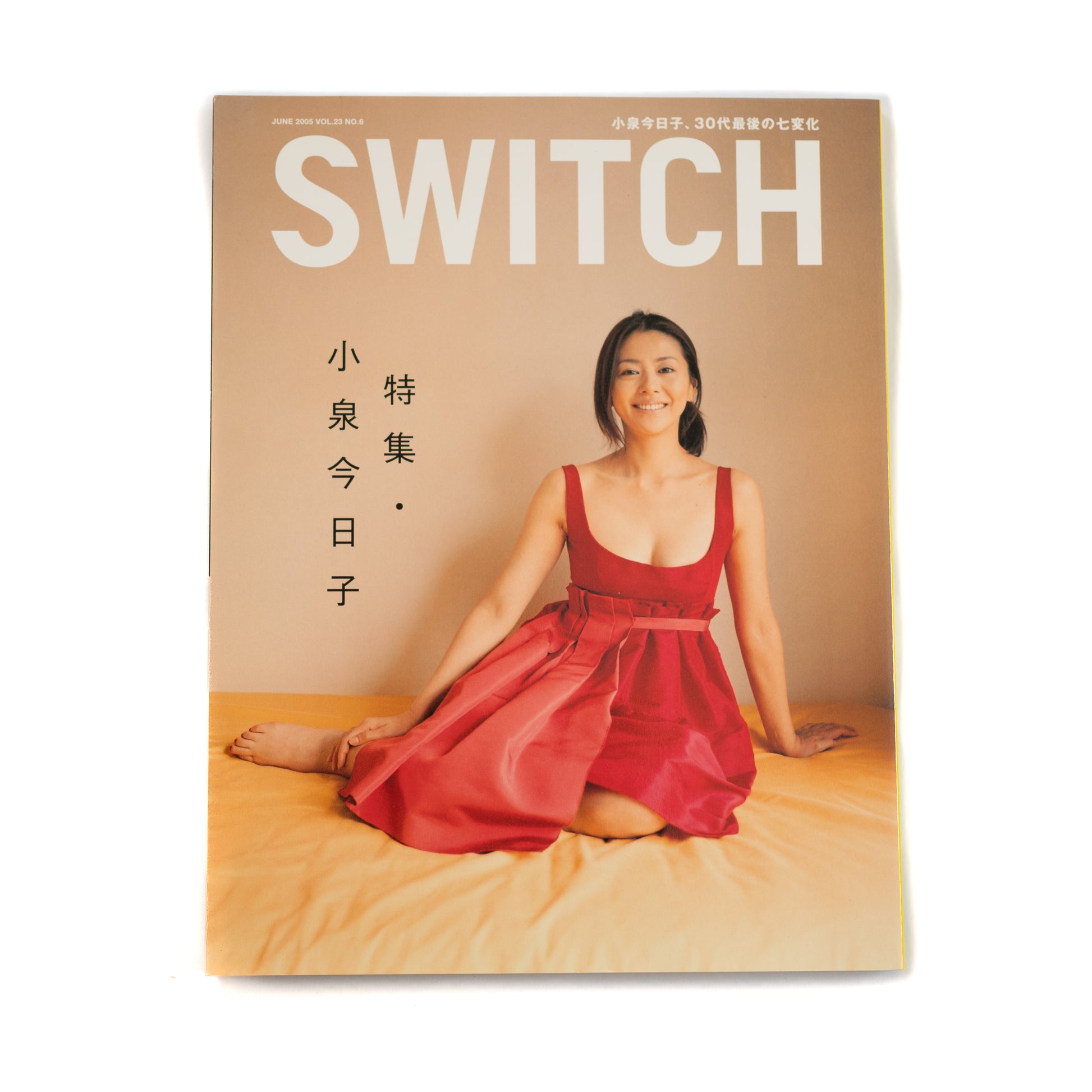 SWITCH Vol.23 No.7 - アート